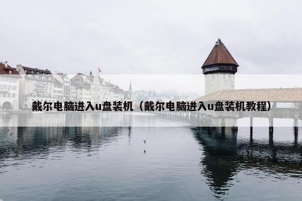 戴尔电脑进入u盘装机（戴尔电脑进入u盘装机教程）