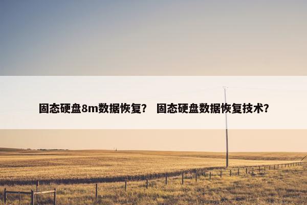 固态硬盘8m数据恢复？ 固态硬盘数据恢复技术？