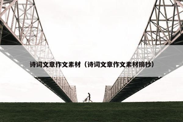 诗词文章作文素材（诗词文章作文素材摘抄）