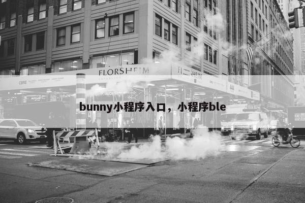 bunny小程序入口，小程序ble