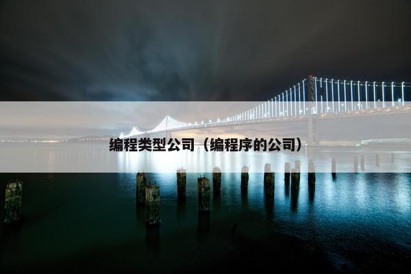 编程类型公司（编程序的公司）