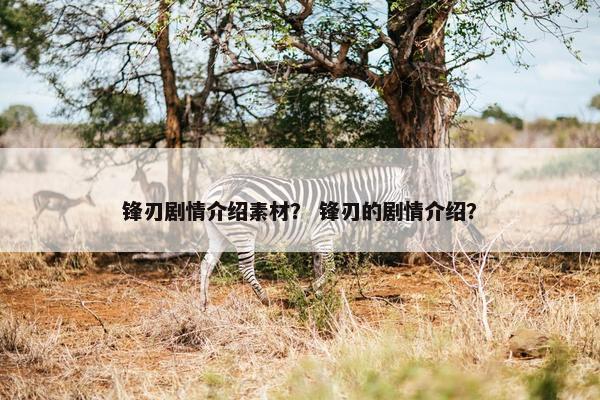 锋刃剧情介绍素材？ 锋刃的剧情介绍？