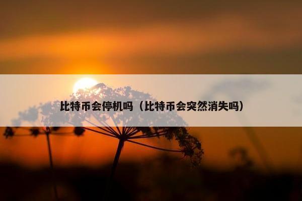 比特币会停机吗（比特币会突然消失吗）