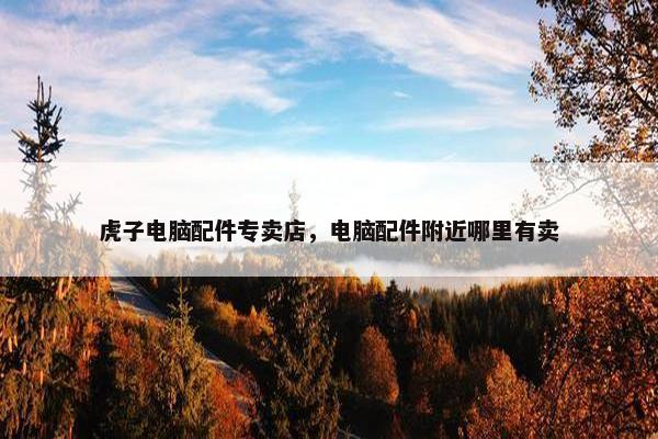 虎子电脑配件专卖店，电脑配件附近哪里有卖