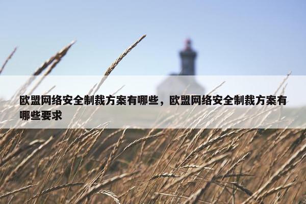 欧盟网络安全制裁方案有哪些，欧盟网络安全制裁方案有哪些要求
