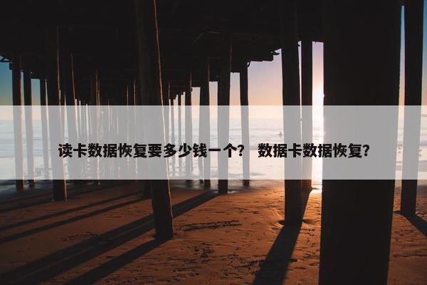 读卡数据恢复要多少钱一个？ 数据卡数据恢复？