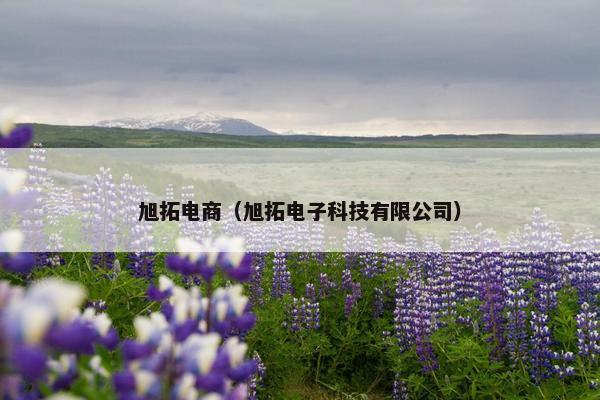 旭拓电商（旭拓电子科技有限公司）