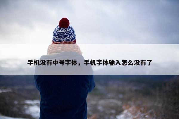 手机没有中号字体，手机字体输入怎么没有了