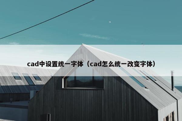 cad中设置统一字体（cad怎么统一改变字体）