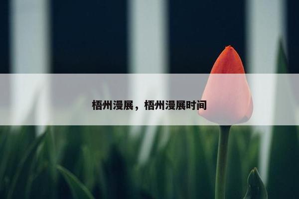 梧州漫展，梧州漫展时间