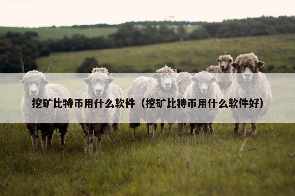 挖矿比特币用什么软件（挖矿比特币用什么软件好）