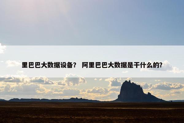 里巴巴大数据设备？ 阿里巴巴大数据是干什么的？