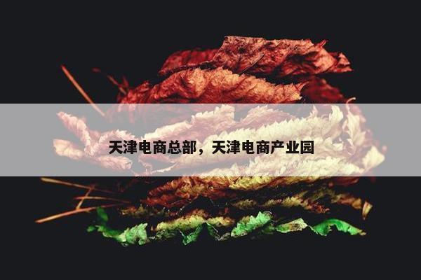 天津电商总部，天津电商产业园