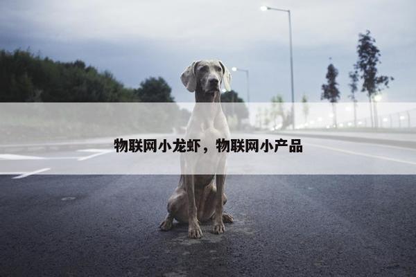 物联网小龙虾，物联网小产品