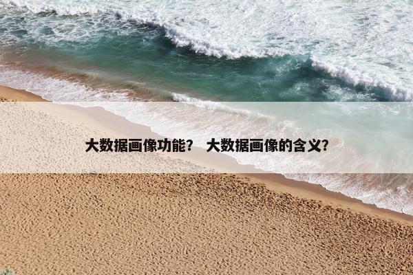 大数据画像功能？ 大数据画像的含义？