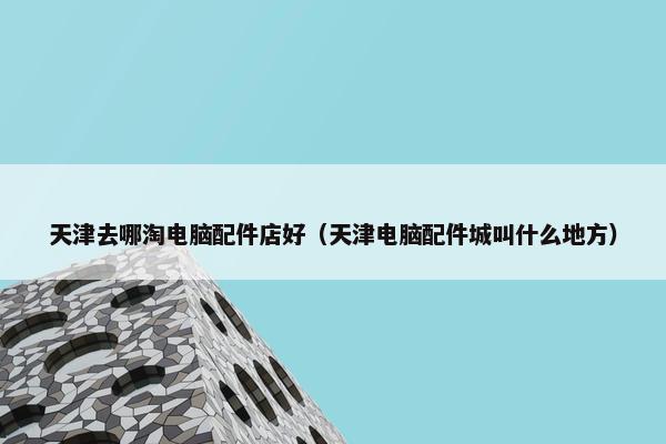 天津去哪淘电脑配件店好（天津电脑配件城叫什么地方）