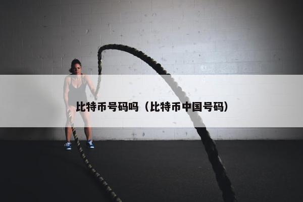 比特币号码吗（比特币中国号码）
