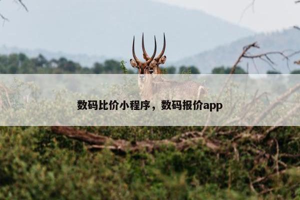 数码比价小程序，数码报价app
