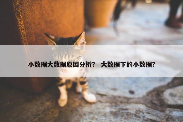 小数据大数据原因分析？ 大数据下的小数据？