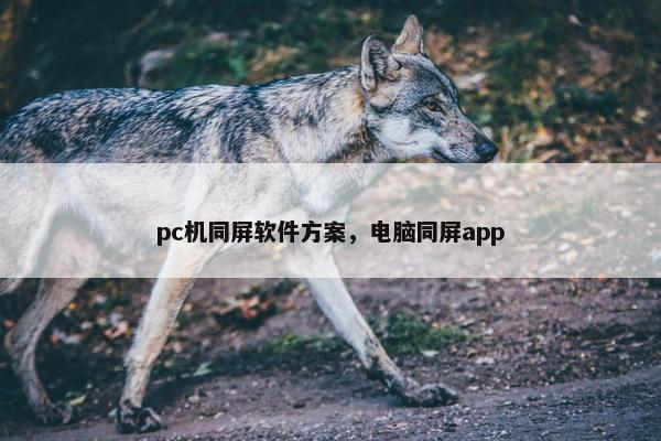 pc机同屏软件方案，电脑同屏app