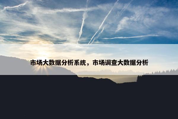 市场大数据分析系统，市场调查大数据分析