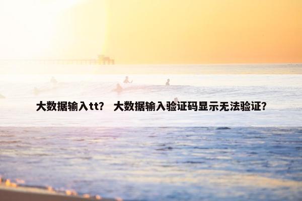 大数据输入tt？ 大数据输入验证码显示无法验证？