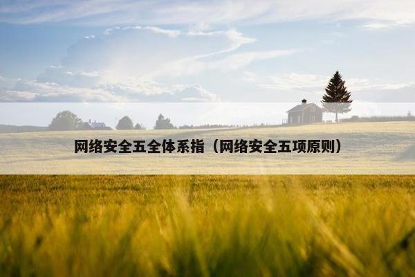 网络安全五全体系指（网络安全五项原则）