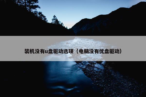 装机没有u盘驱动选项（电脑没有优盘驱动）