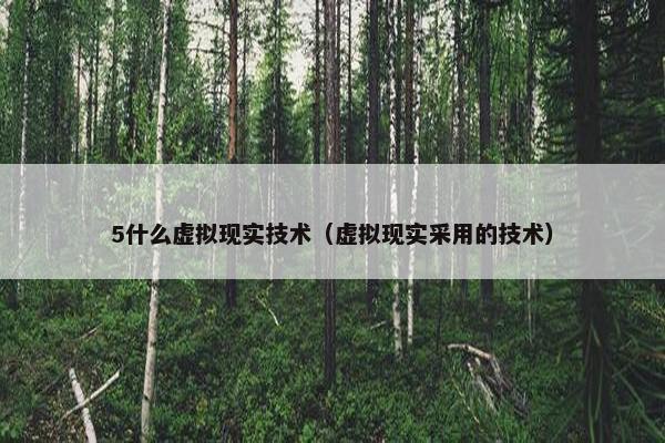 5什么虚拟现实技术（虚拟现实采用的技术）