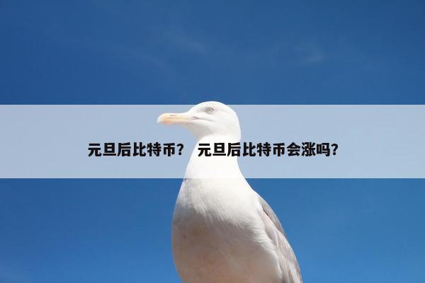 元旦后比特币？ 元旦后比特币会涨吗？