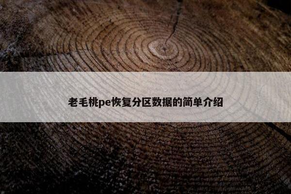 老毛桃pe恢复分区数据的简单介绍