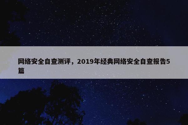 网络安全自查测评，2019年经典网络安全自查报告5篇