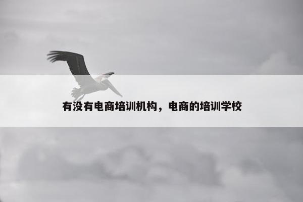 有没有电商培训机构，电商的培训学校