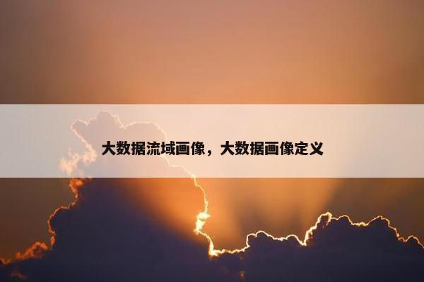大数据流域画像，大数据画像定义