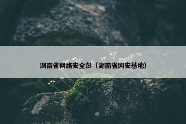 湖南省网络安全彭（湖南省网安基地）