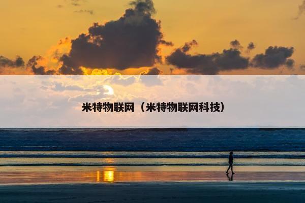 米特物联网（米特物联网科技）