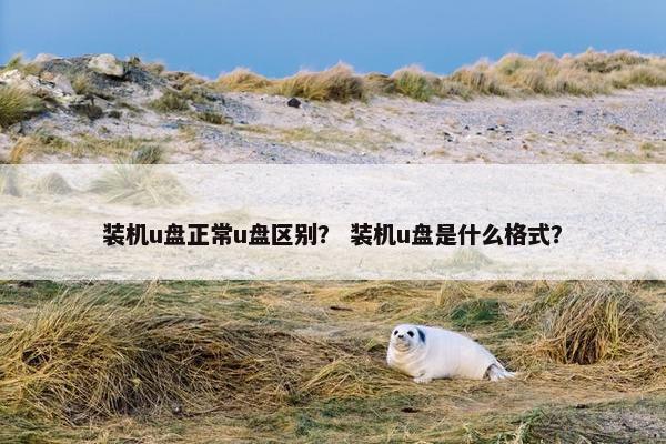 装机u盘正常u盘区别？ 装机u盘是什么格式？