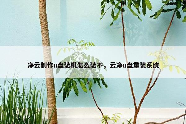 净云制作u盘装机怎么装不，云净u盘重装系统