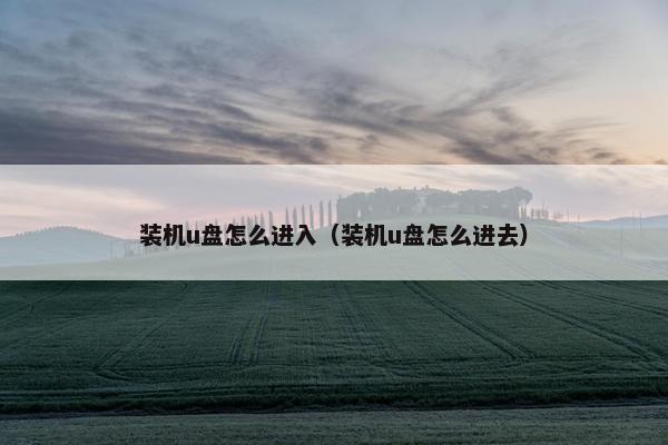 装机u盘怎么进入（装机u盘怎么进去）