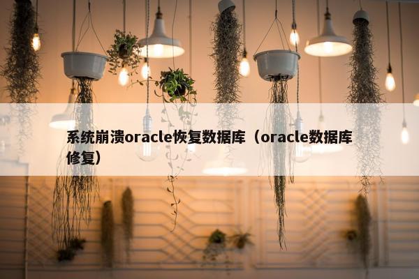 系统崩溃oracle恢复数据库（oracle数据库修复）