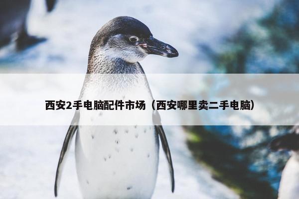 西安2手电脑配件市场（西安哪里卖二手电脑）