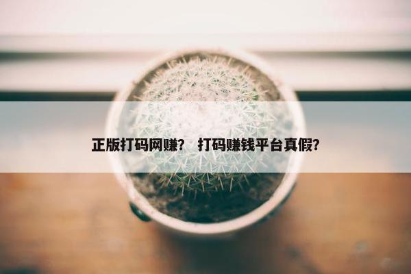 正版打码网赚？ 打码赚钱平台真假？
