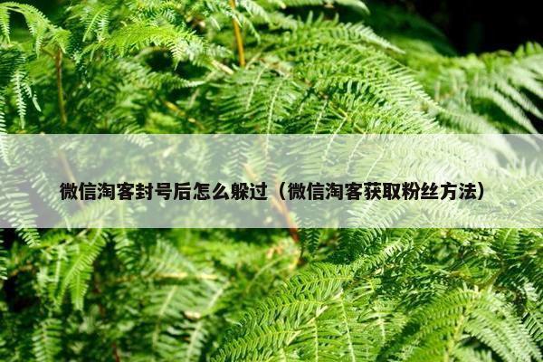 微信淘客封号后怎么躲过（微信淘客获取粉丝方法）
