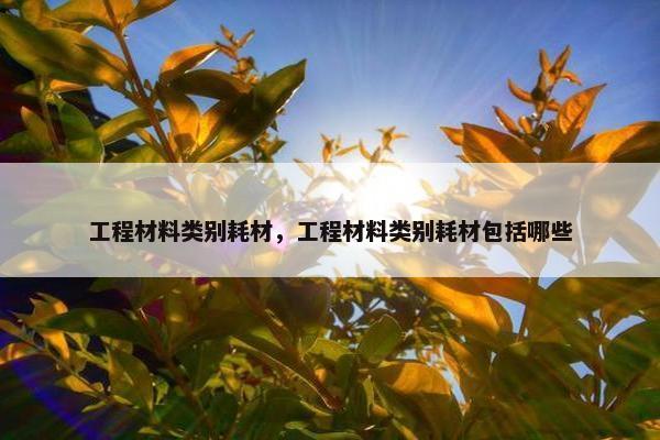 工程材料类别耗材，工程材料类别耗材包括哪些