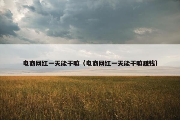 电商网红一天能干嘛（电商网红一天能干嘛赚钱）