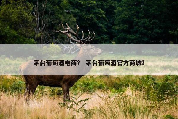 茅台葡萄酒电商？ 茅台葡萄酒官方商城？