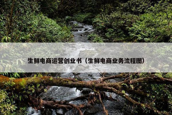 生鲜电商运营创业书（生鲜电商业务流程图）