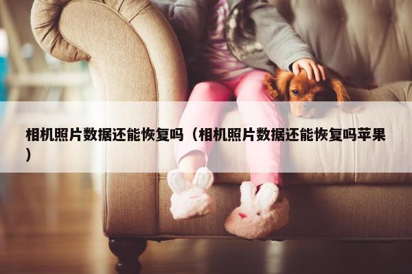 相机照片数据还能恢复吗（相机照片数据还能恢复吗苹果）