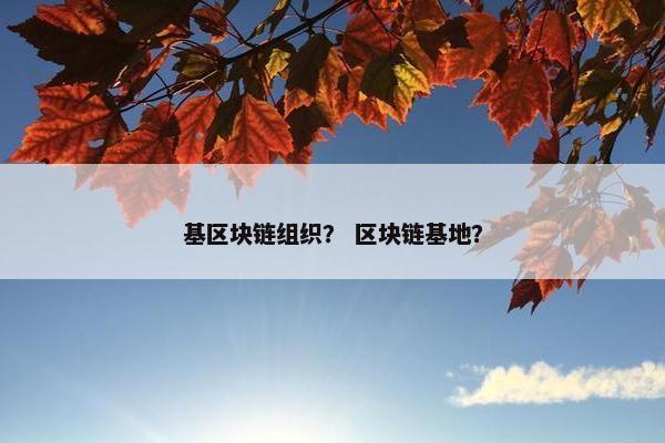 基区块链组织？ 区块链基地？