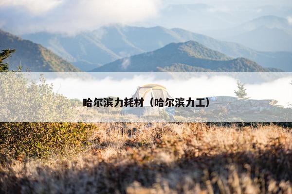 哈尔滨力耗材（哈尔滨力工）